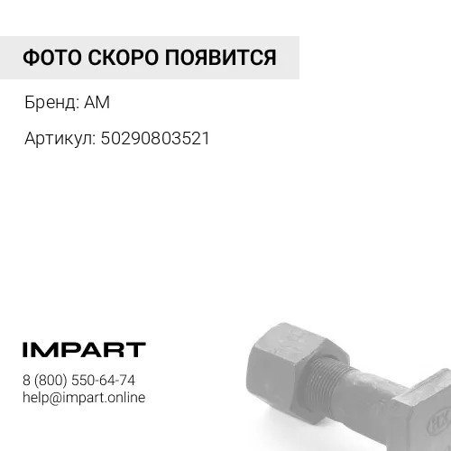 50290803521 Болт M6S M8x25 8.8 FZB