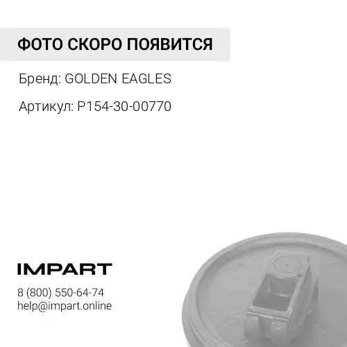 P154-30-00770 Колесо направляющее