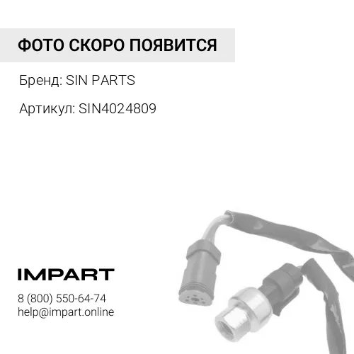 SIN4024809 Соленоид топливный К19
