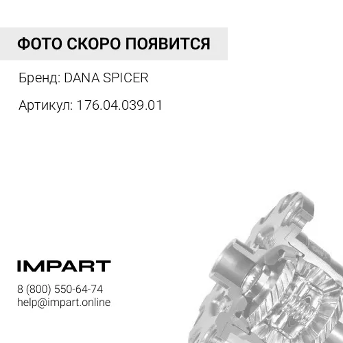 176.04.039.01 Шестерня DANA