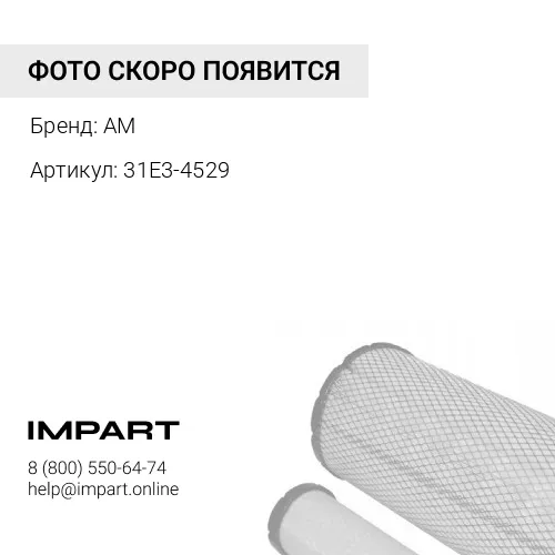 31E3-4529 Фильтр