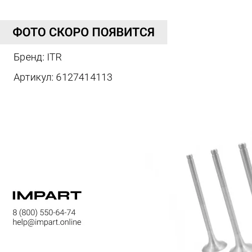 6127414113 Клапан впускной