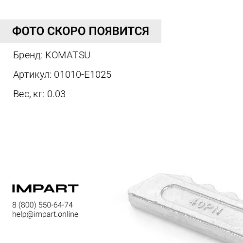 01010-E1025 БОЛТ