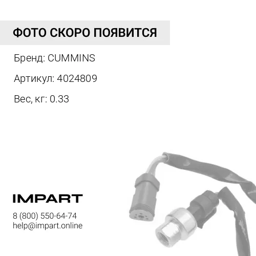 4024809 Соленоид топливный К19