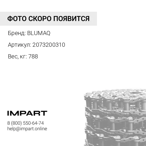 2073200310 Цепь в сборе