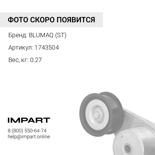 1743504 Термостат