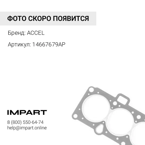 14667679AP Уплотнение Плавающее