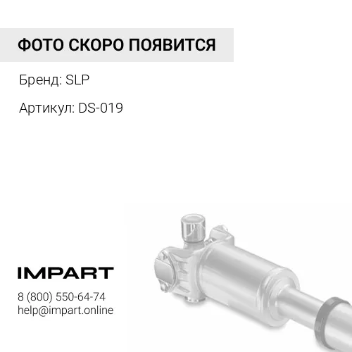 DS-019 Приводной вал