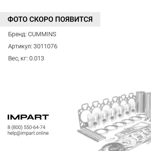 3011076 Уплотнение гильзы центральное