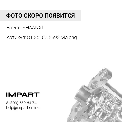 81.35100.6593 Malang Дифференциал межосевой F3000/A7/(T5G нужна муфта) в сборе (AZ9981320136/81.3510