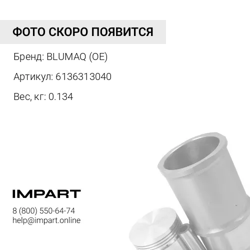 6136313040 ВКЛАДЫШ