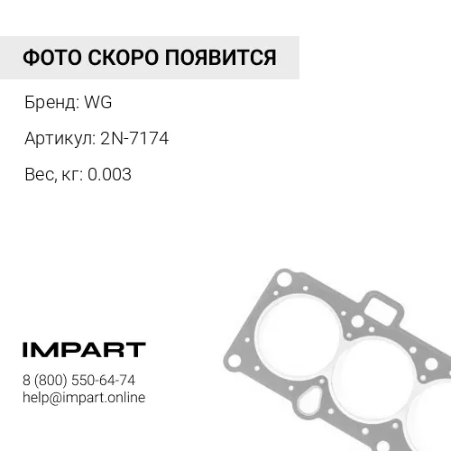 2N-7174 Прокладка стакана форсунки 2N-7174 WG