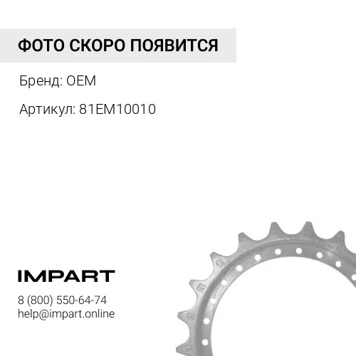 81EM10010 Звёздочка ТМ40