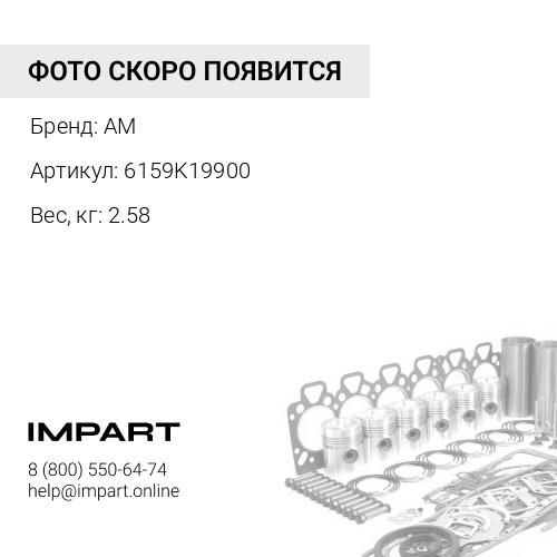 6159K19900 Ремнабор