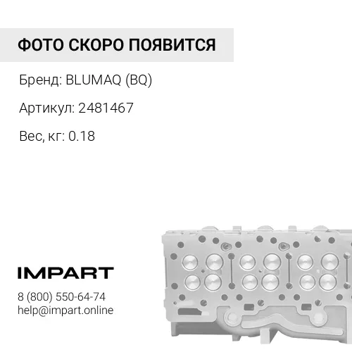2481467 BQ ВЫПУСКНОЙ КЛАПАН
