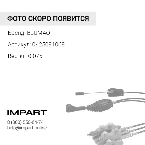 0425081068 Наконечник штока