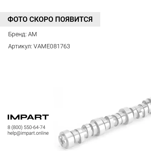 VAME081763 Вкладыш распредвала 6D34 VAME081763