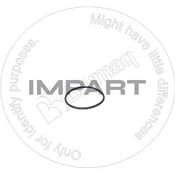 07000-02055 Кольцо уплотнительное BLUMAQ